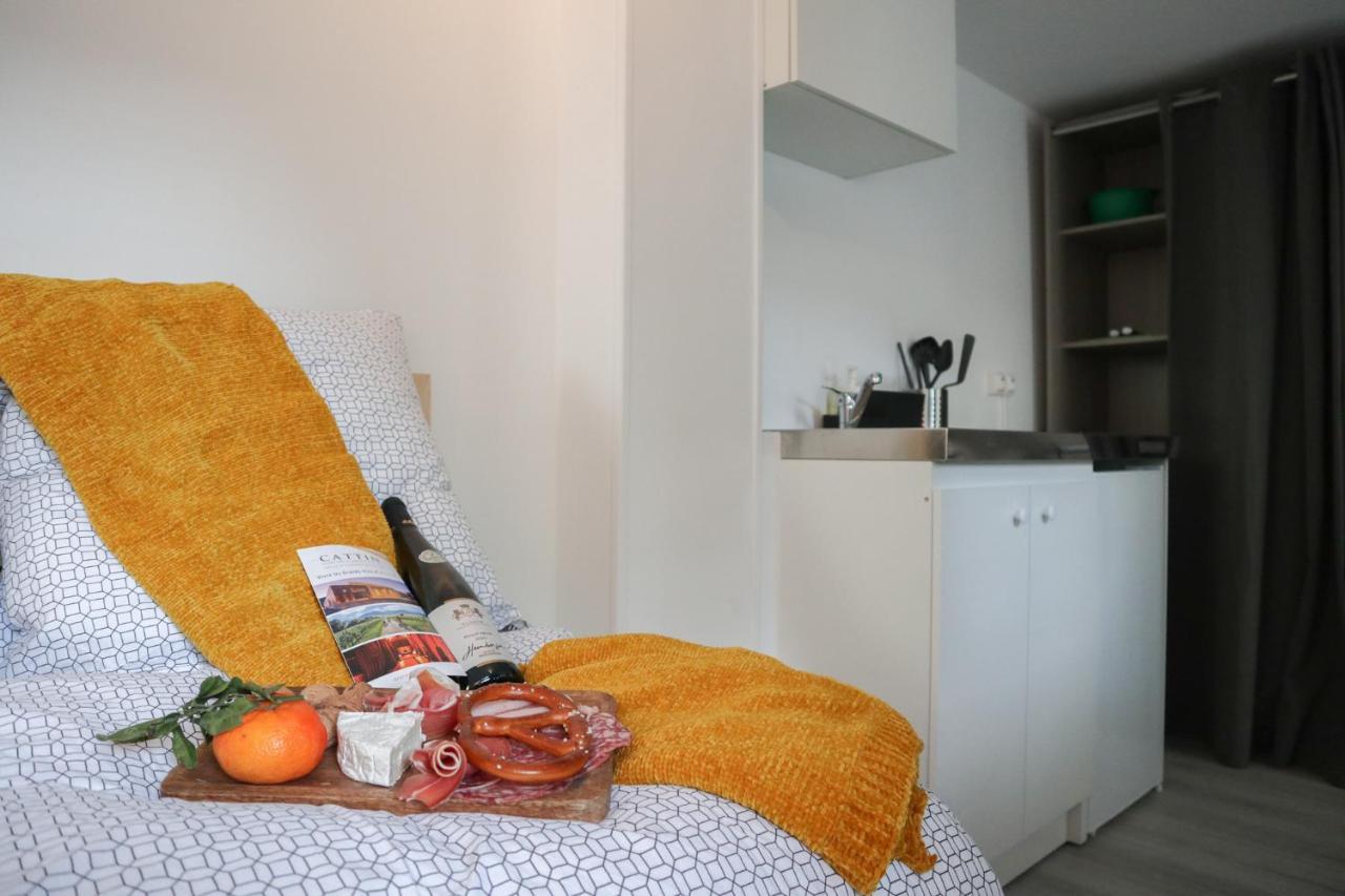 Ferienwohnung Le Domaine Mulhousien Mülhausen Exterior foto